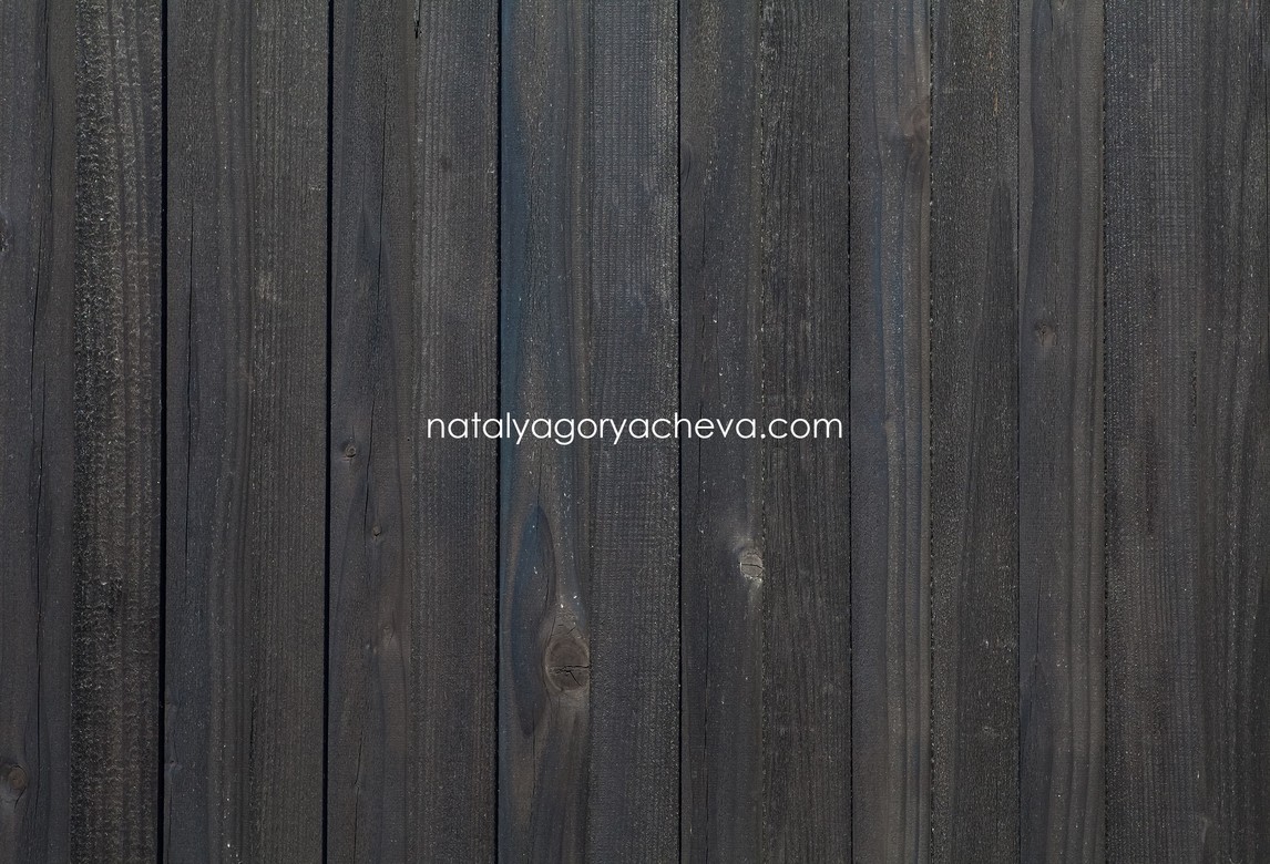 Фотофон ТД22