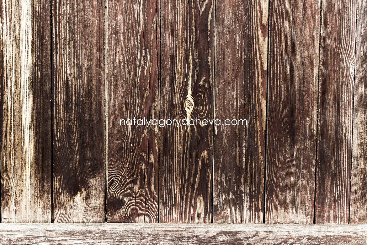 Фотофон ТД31