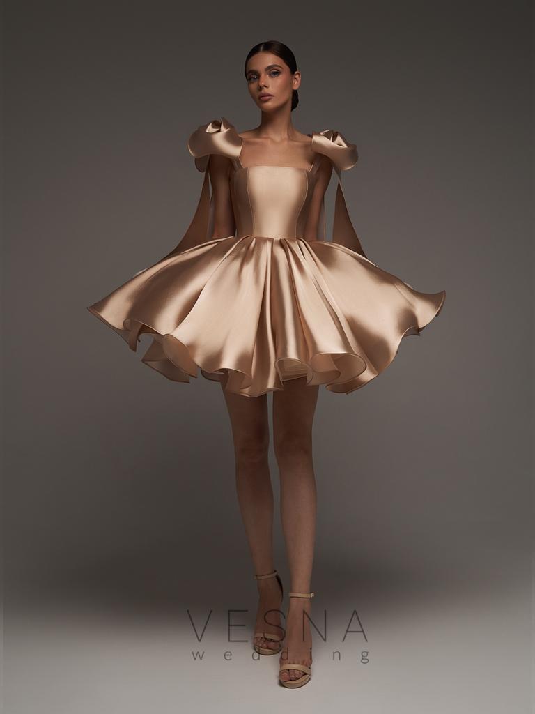 Evening dress Nika Pudra