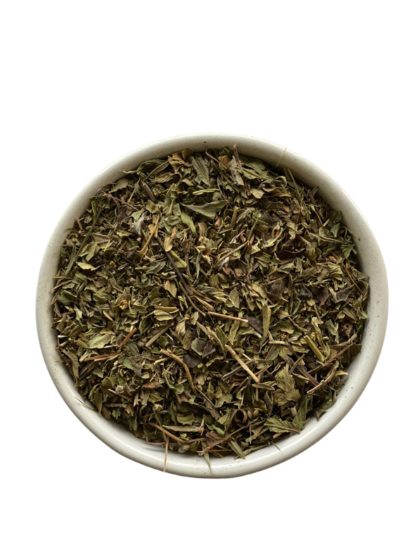 Мята сладкая (место сбора: Нижегородская область)