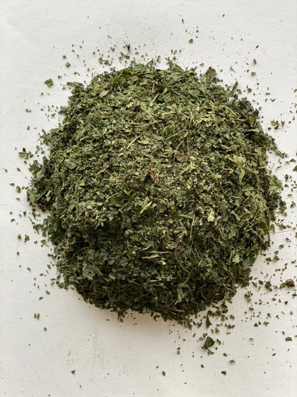 Лист крапивы