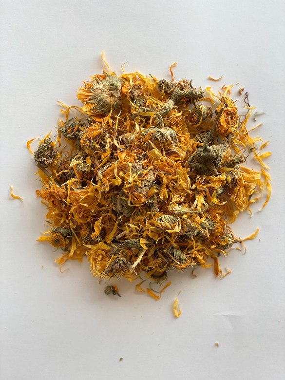 Календула лекарственная