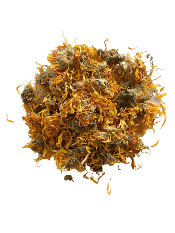 Календула лекарственная