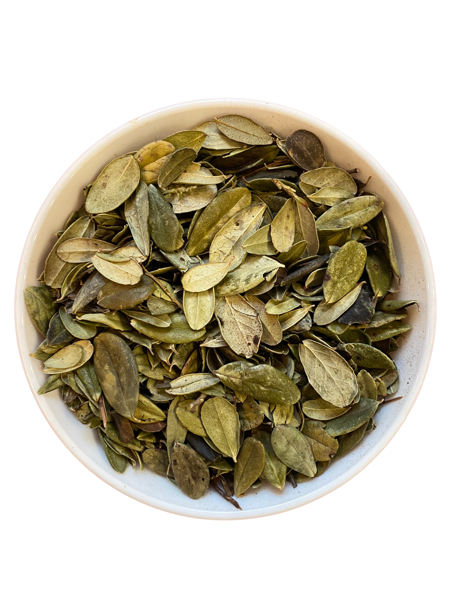 Брусничный лист