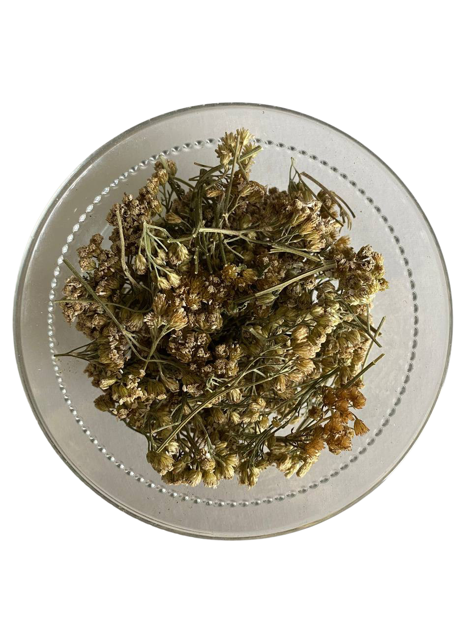 Тысячелистник обыкновенный