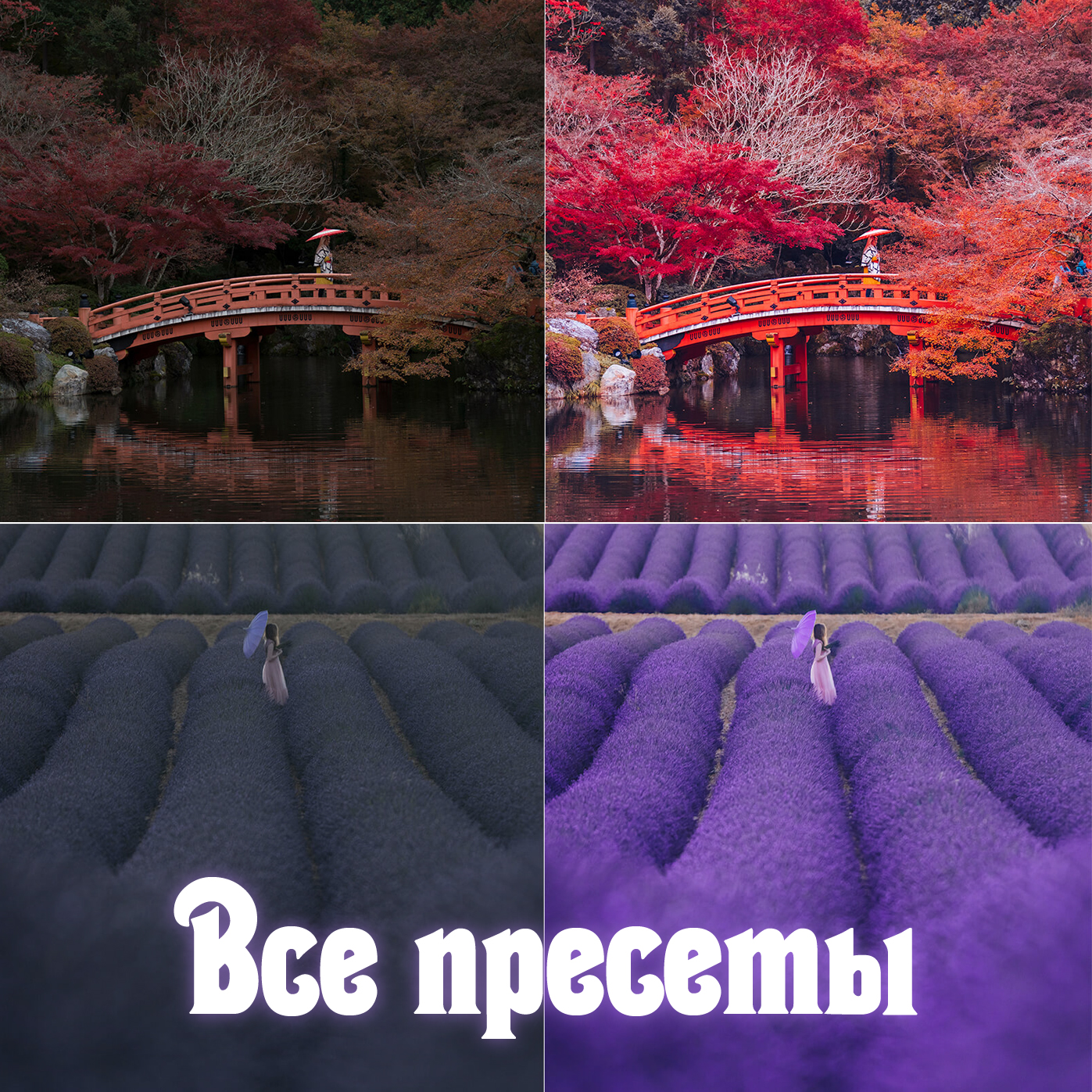 Пресеты мобильные и Лайтрум с моим цветом для обработки фотографий // Mobile and Lightroom presets with my color for photo editing