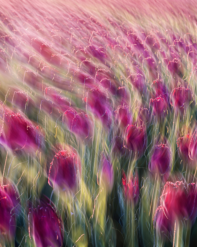 Урок "Акварельные фотографии" / Watercolor Photography Lesson (video with English subtitles)