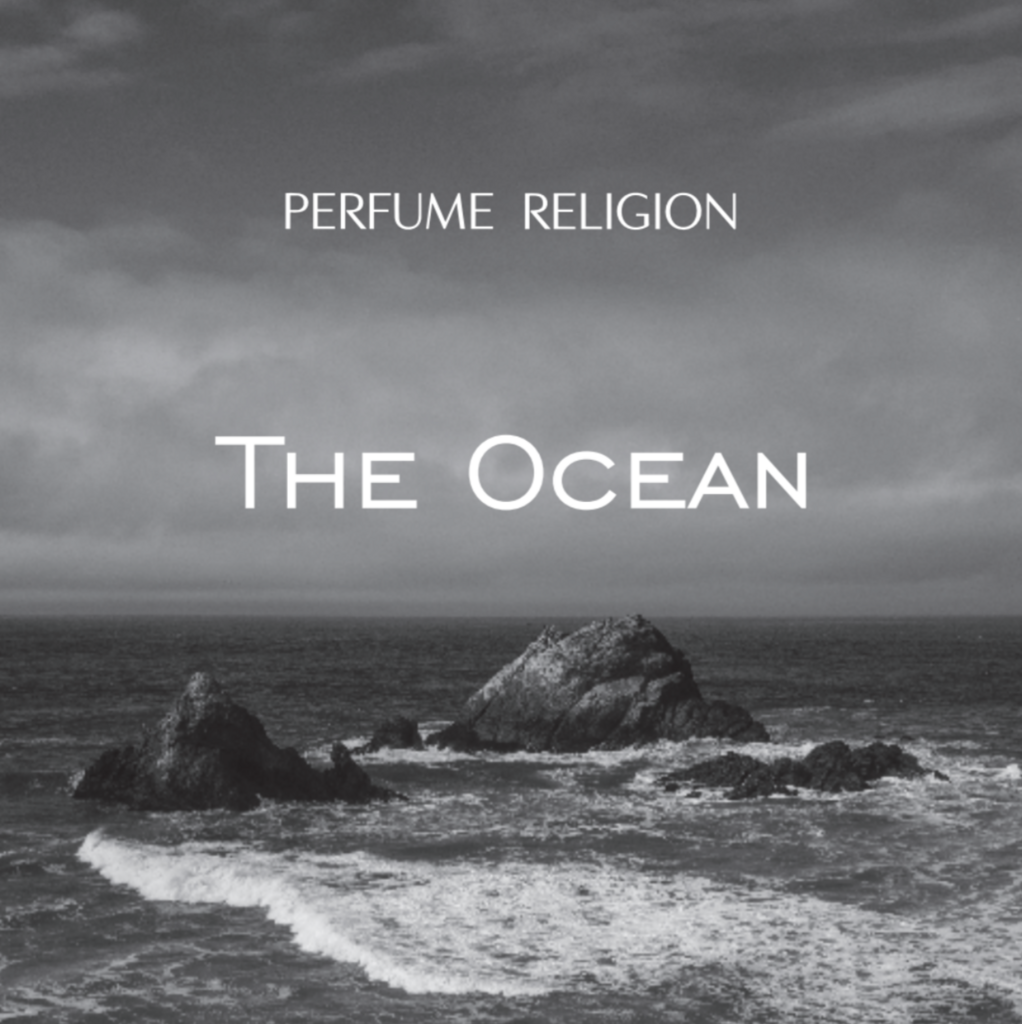 Диффузор ОКЕАН (THE OCEAN) | 100 мл