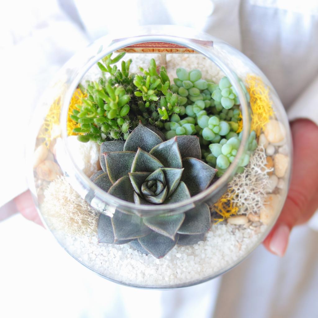 Шар S (11х11см)