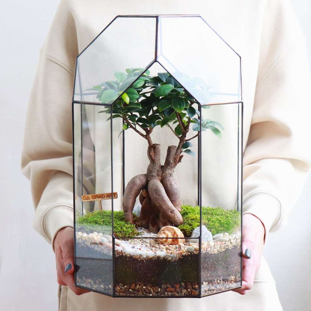 Болид XL (40х25см)