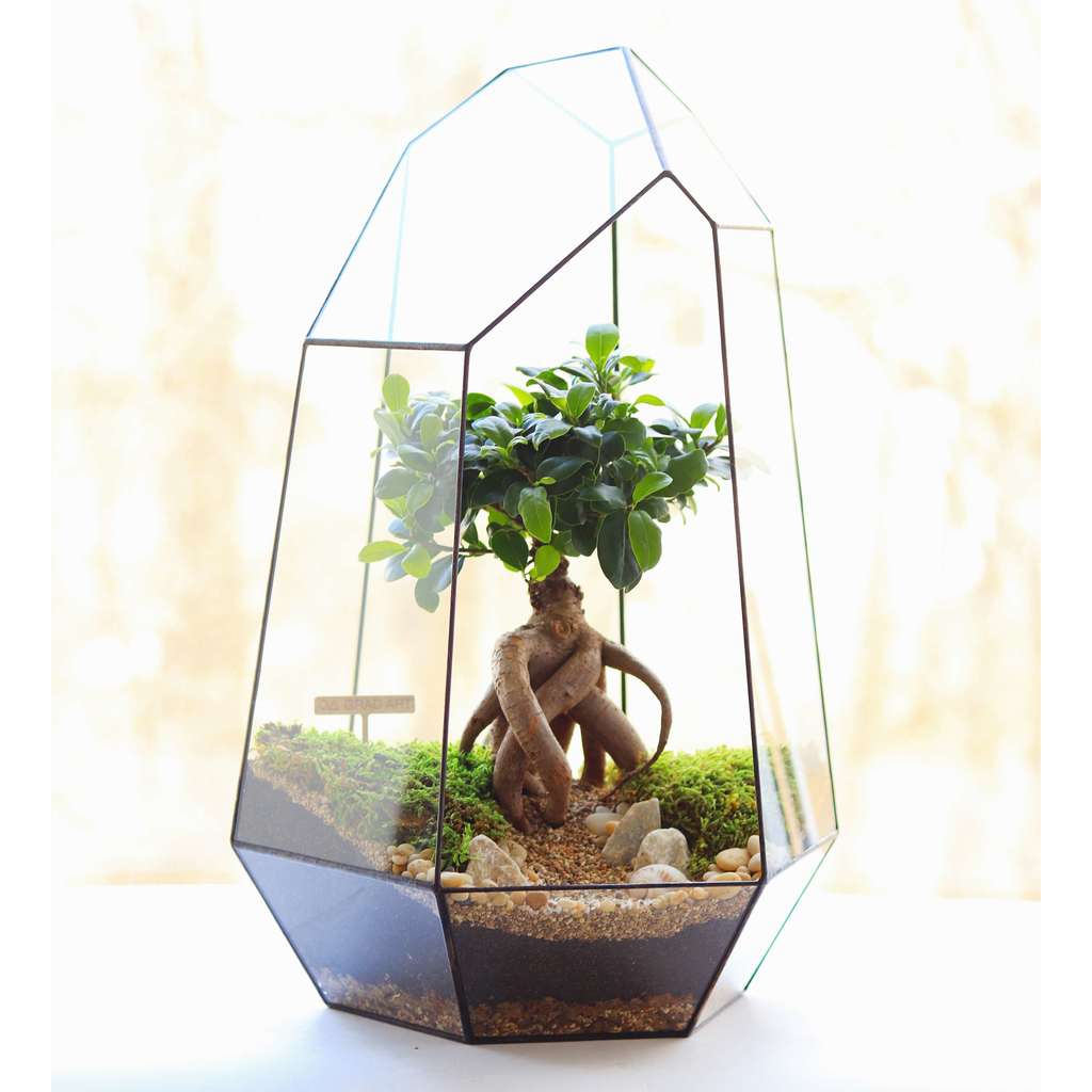 Ио XXL (50х33см)