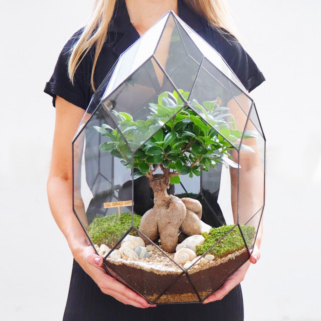 Астероид XXL (50х35см)