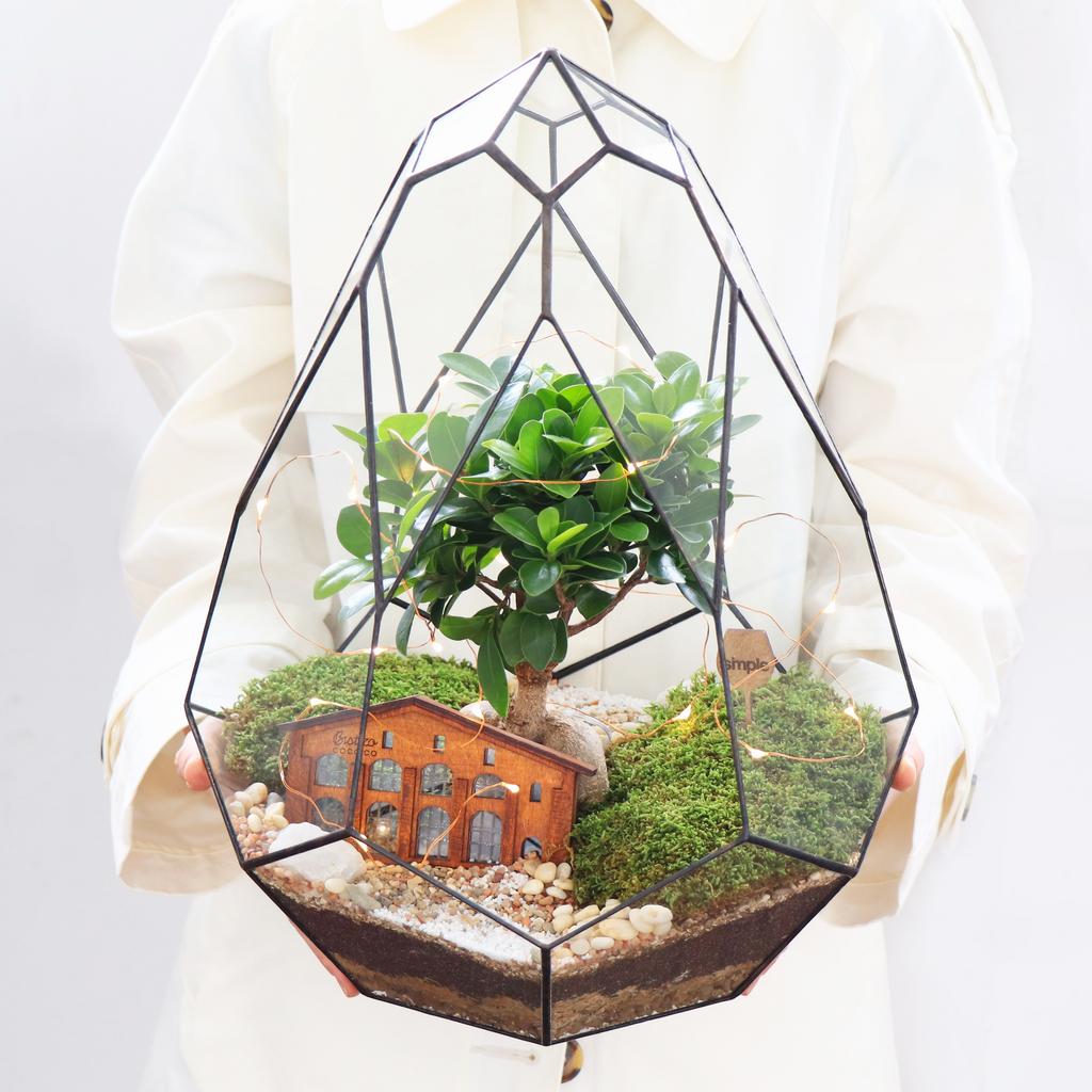 Венера XXL (50х39см)