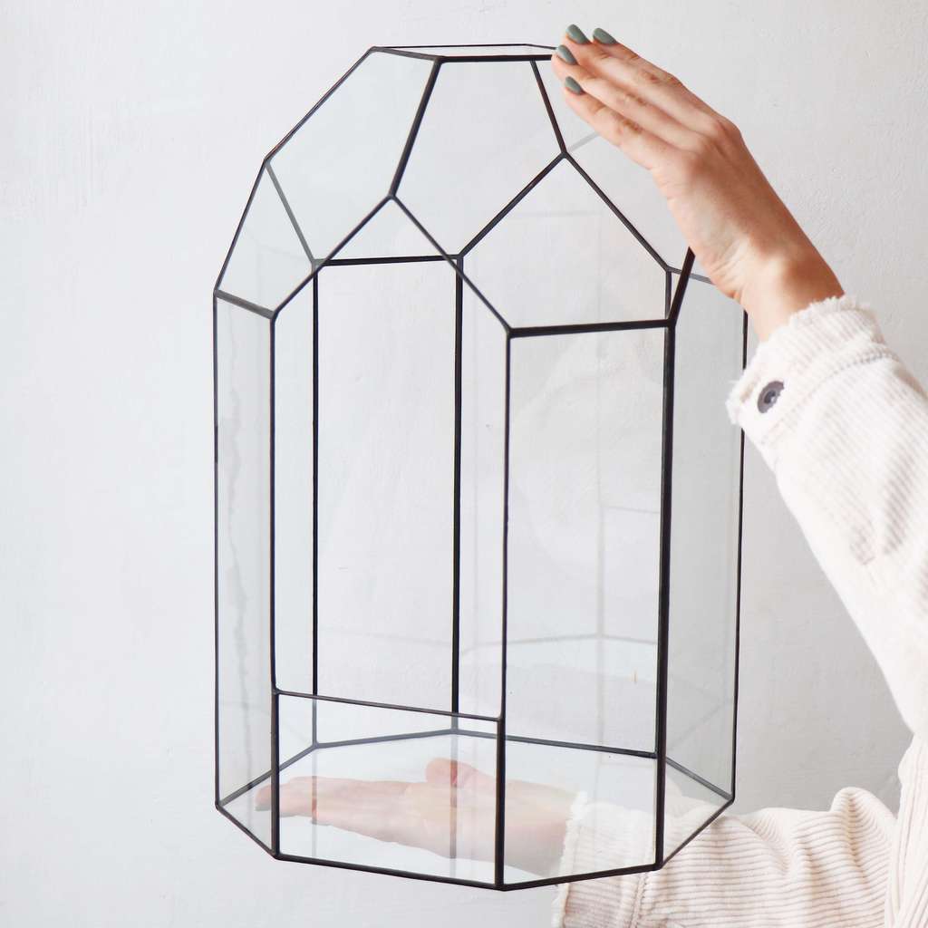 Пустой флорариум "Болид L"