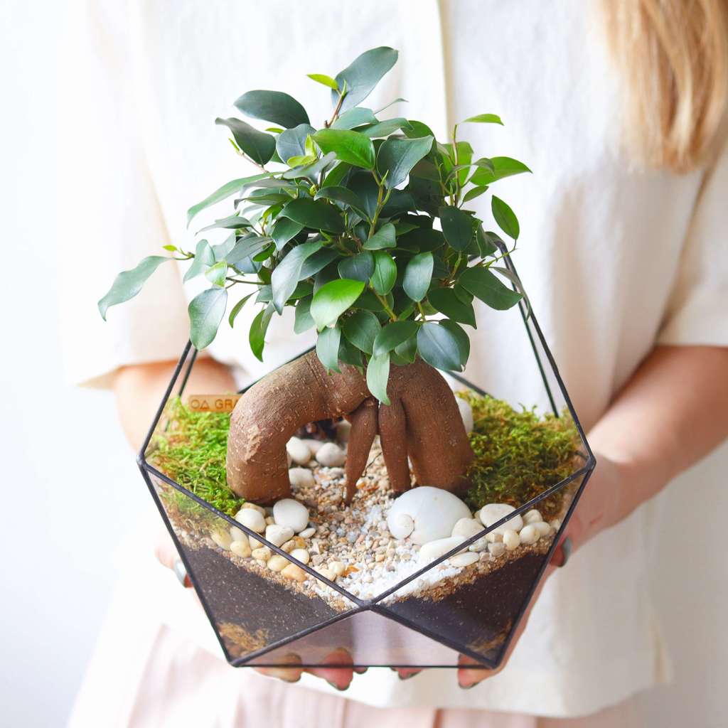 Икосаэдр L (25х20см)