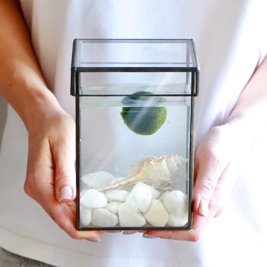 Прямоугольник M (16х10см)