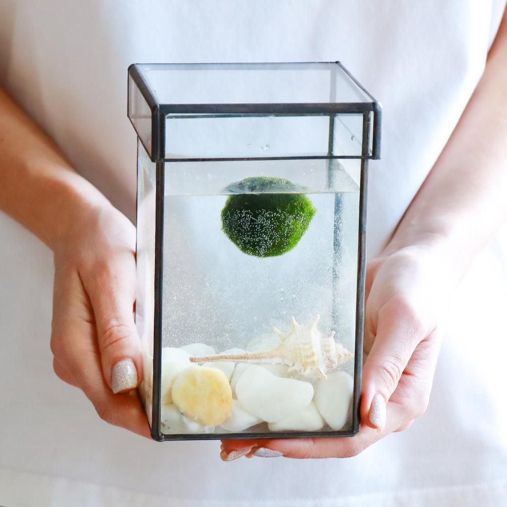 Квадрат M (16x9cм)