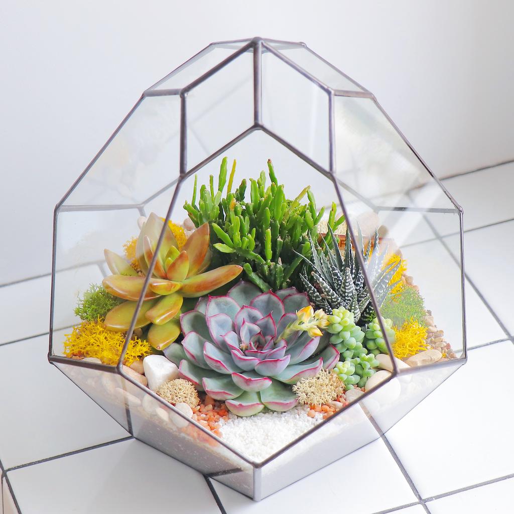 Комета L (25х22см)