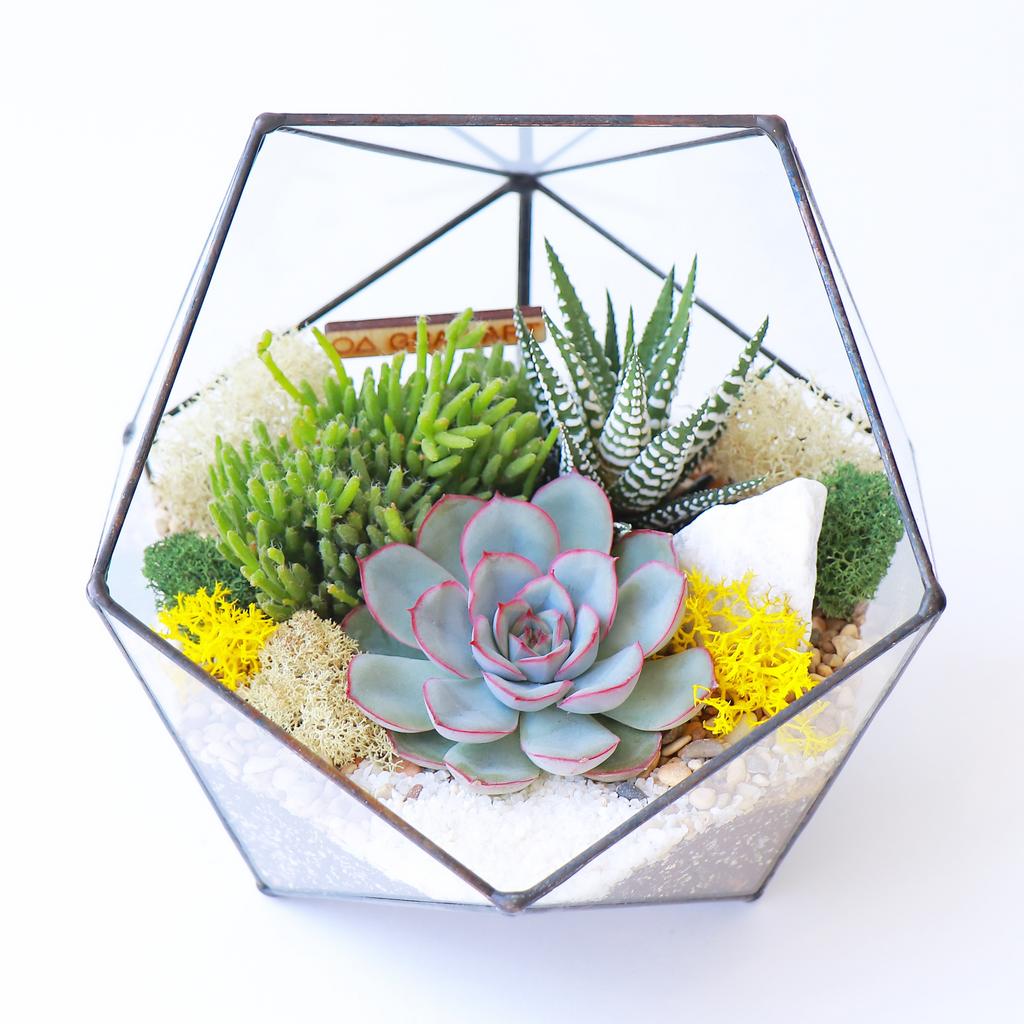 Икосаэдр M (16х16см)