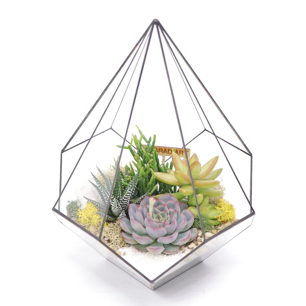 Капля L (29х21см)