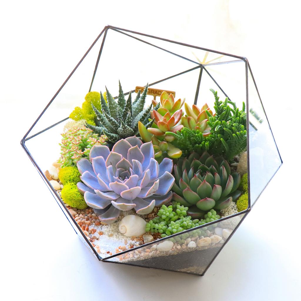 Икосаэдр XXL (30х30см)