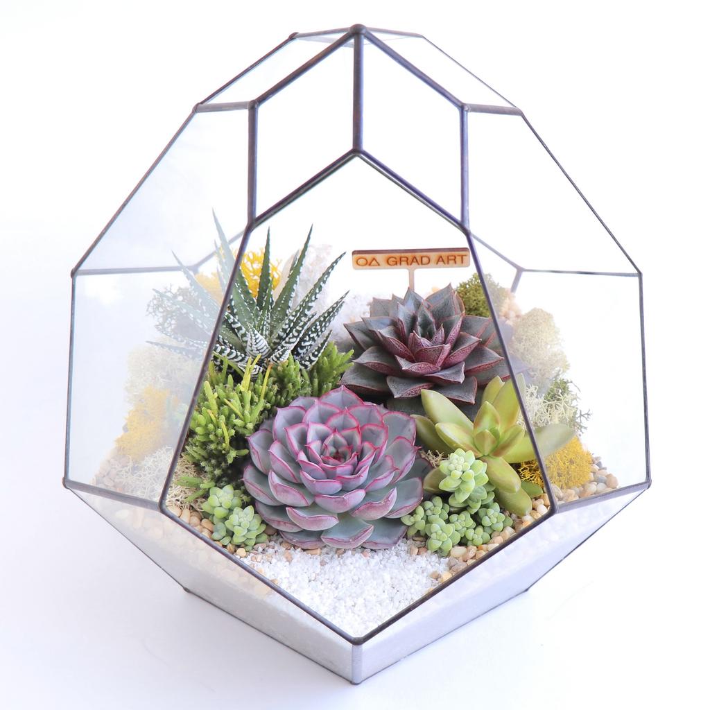 Комета XL (29х26см)