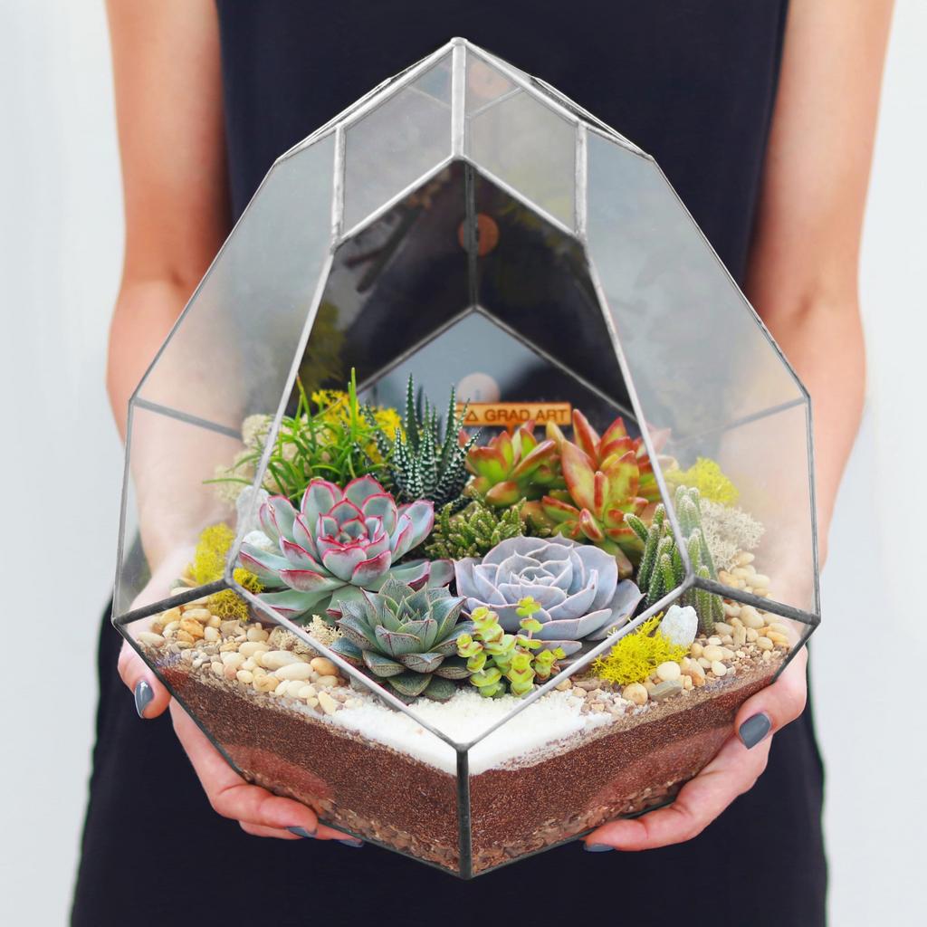 Комета XXL (33х30см)