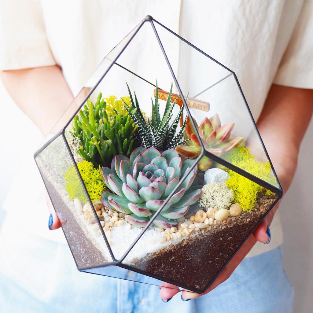 Кристалл L (24х23см)