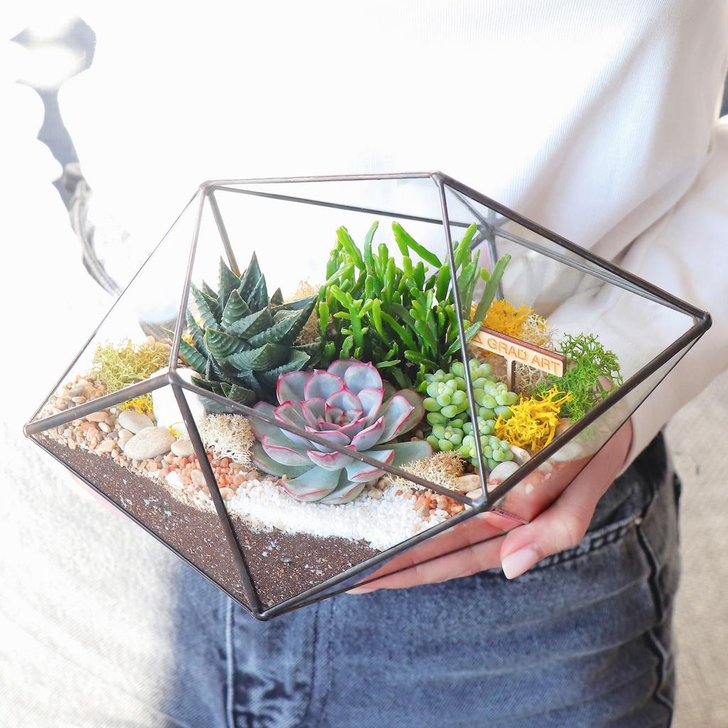 Ракета M (17х28см)