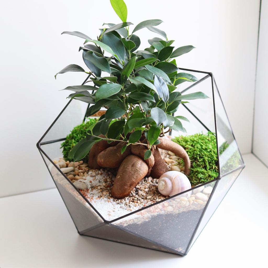 Икосаэдр XL (30х25см)