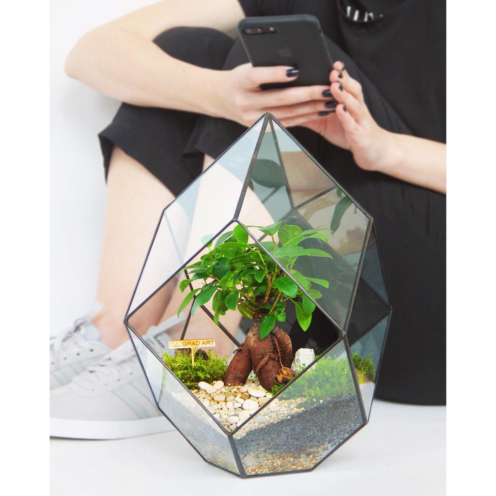 Кристалл L (35х28см)