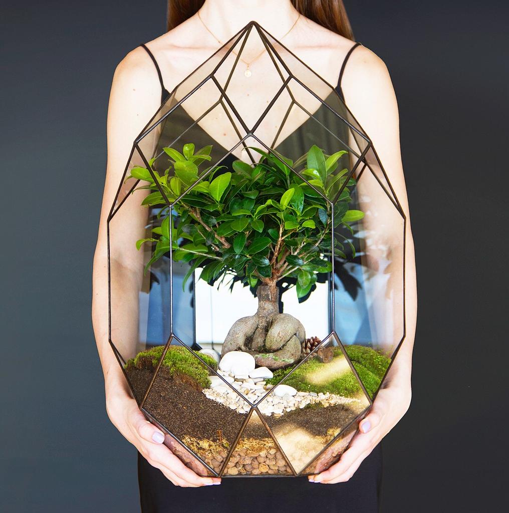 Астероид XXXL (65х44см)