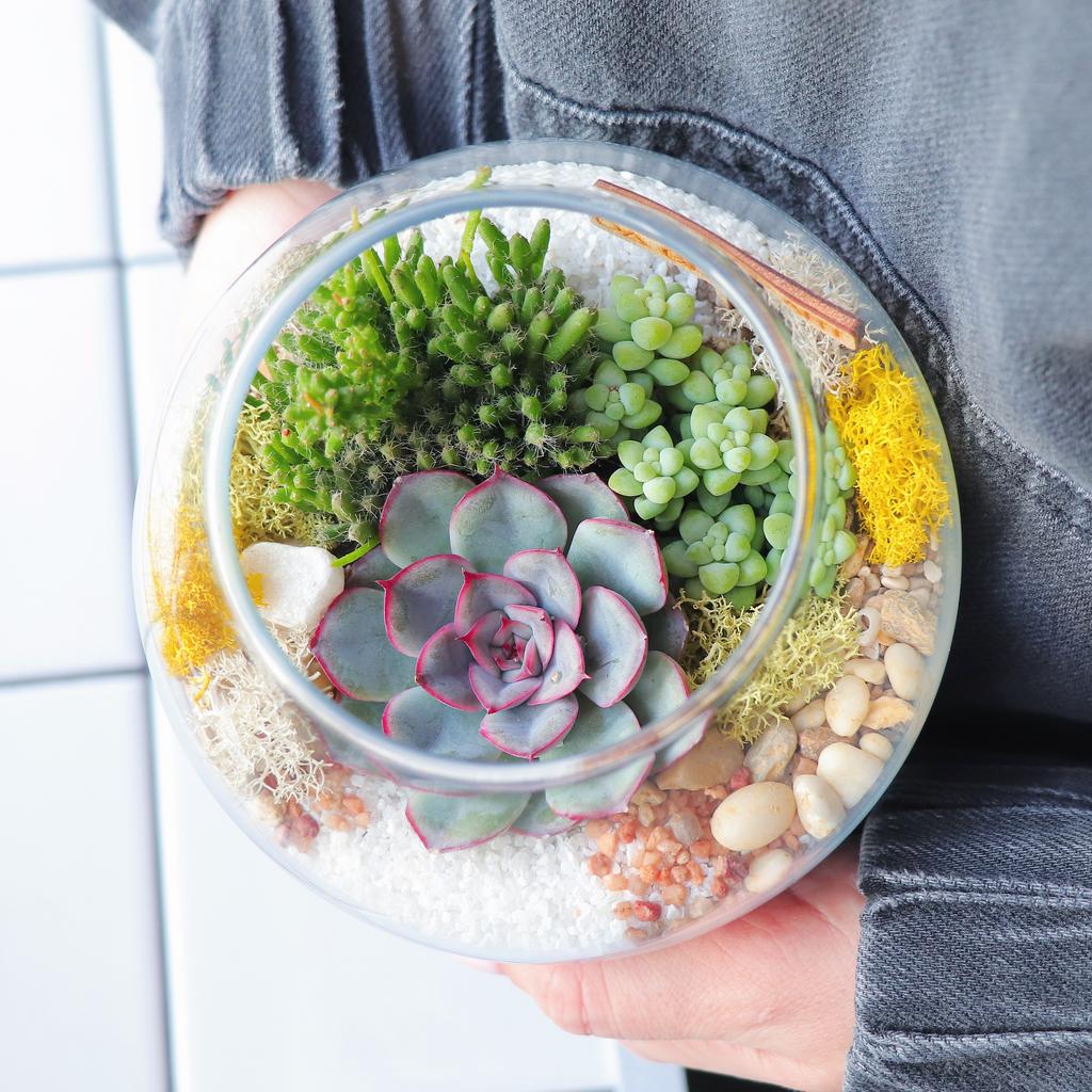 Шар S (11х11см)