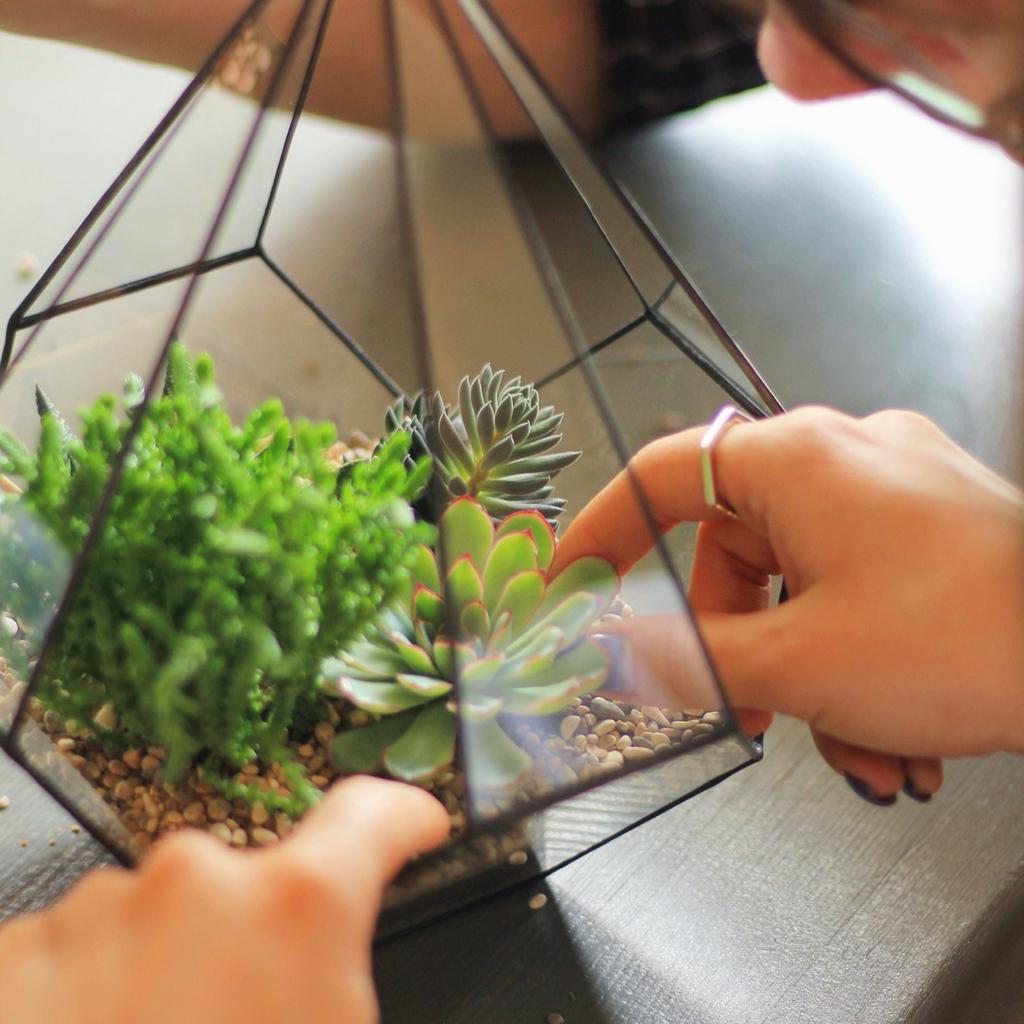 Мастер-класс по созданию флорариума (Форма XL)