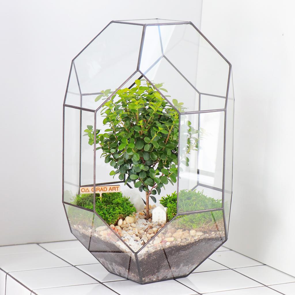 Прометей L (35х21см)