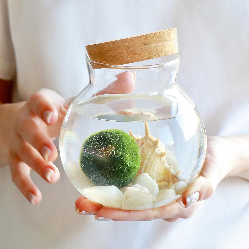 Шар S (15x13см)