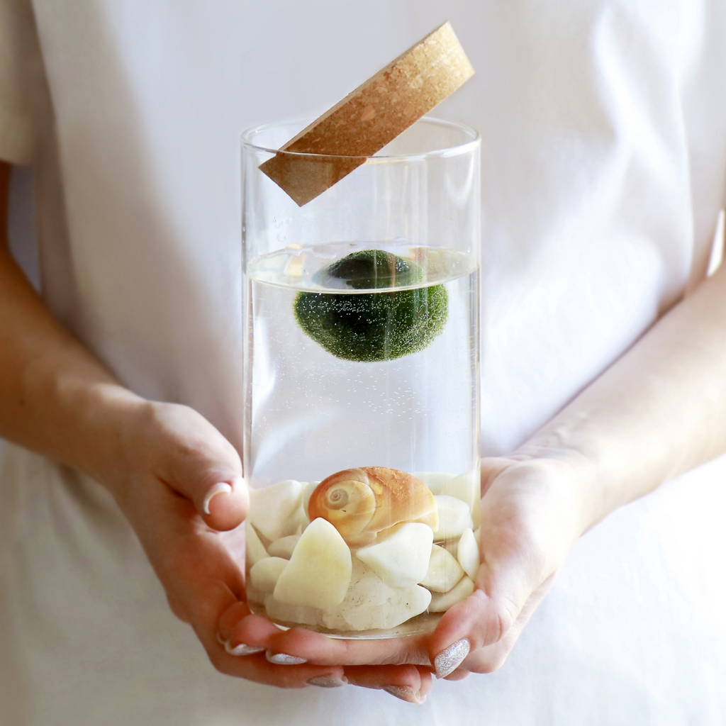 Сосуд S (20x9см)