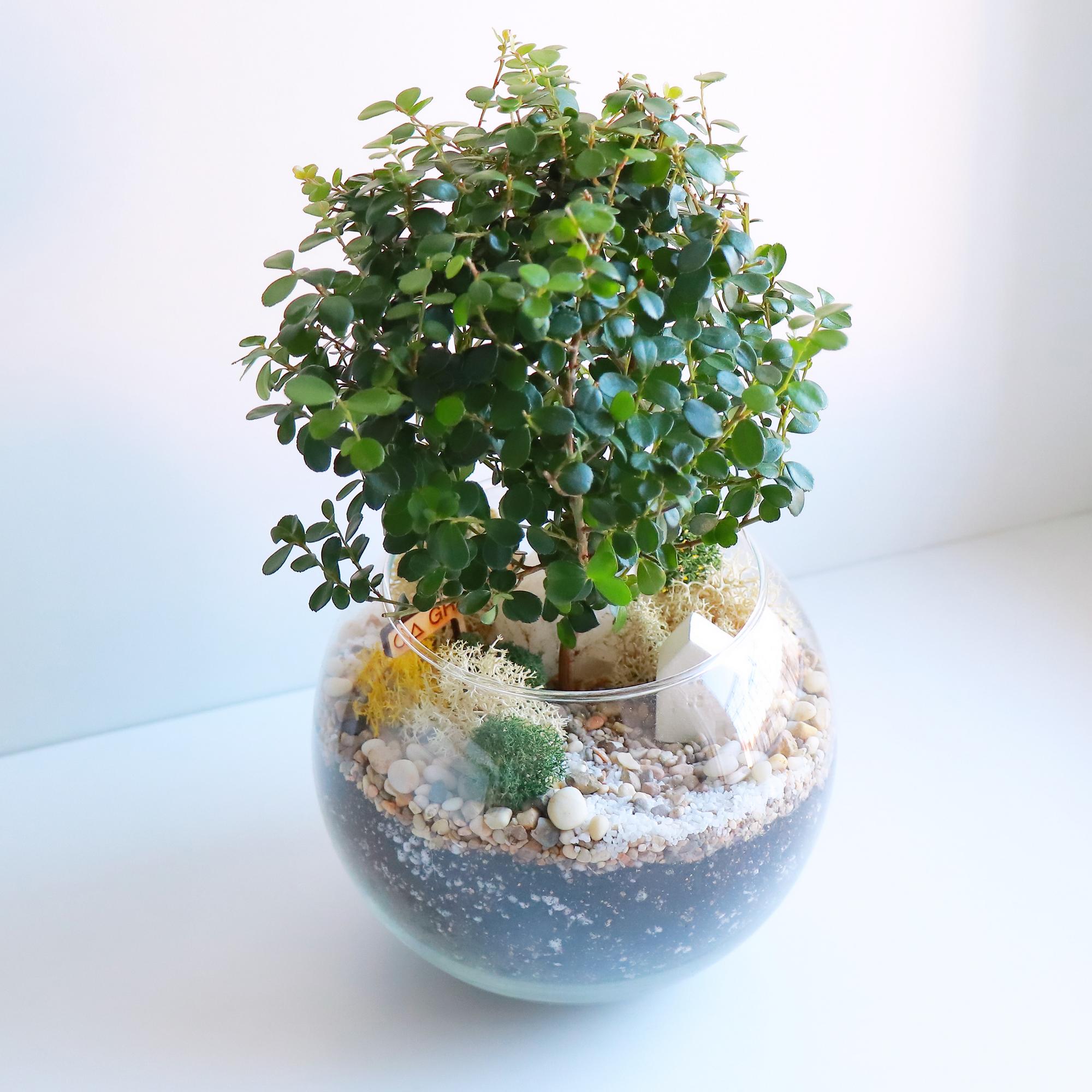 Шар M (25х16см)