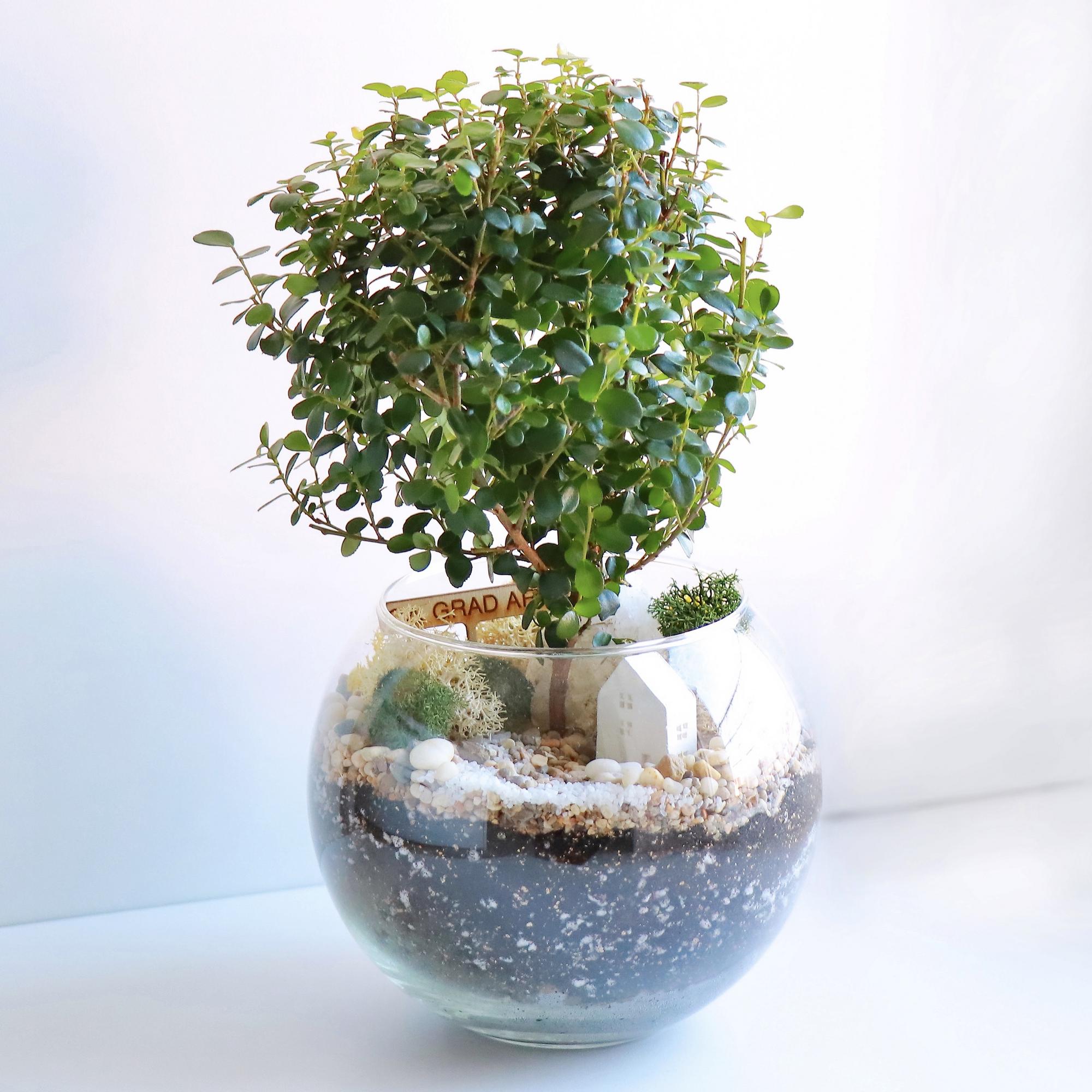 Шар M (25х16см)