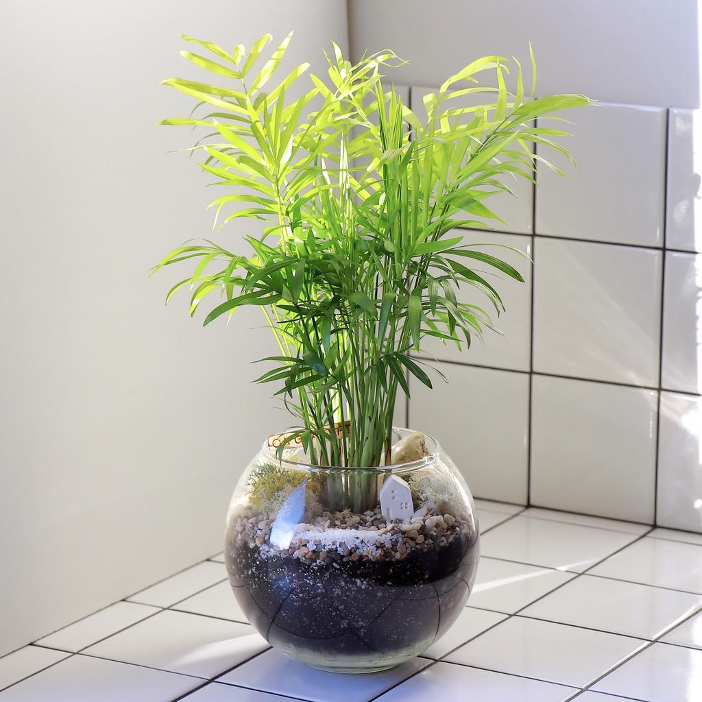 Шар M (35х16см)