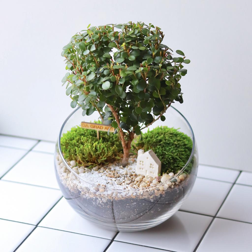 Полусфера M (25х16см)