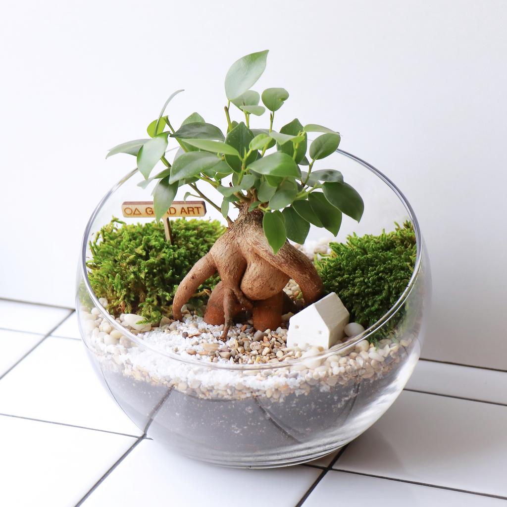 Полусфера M (20х16см)