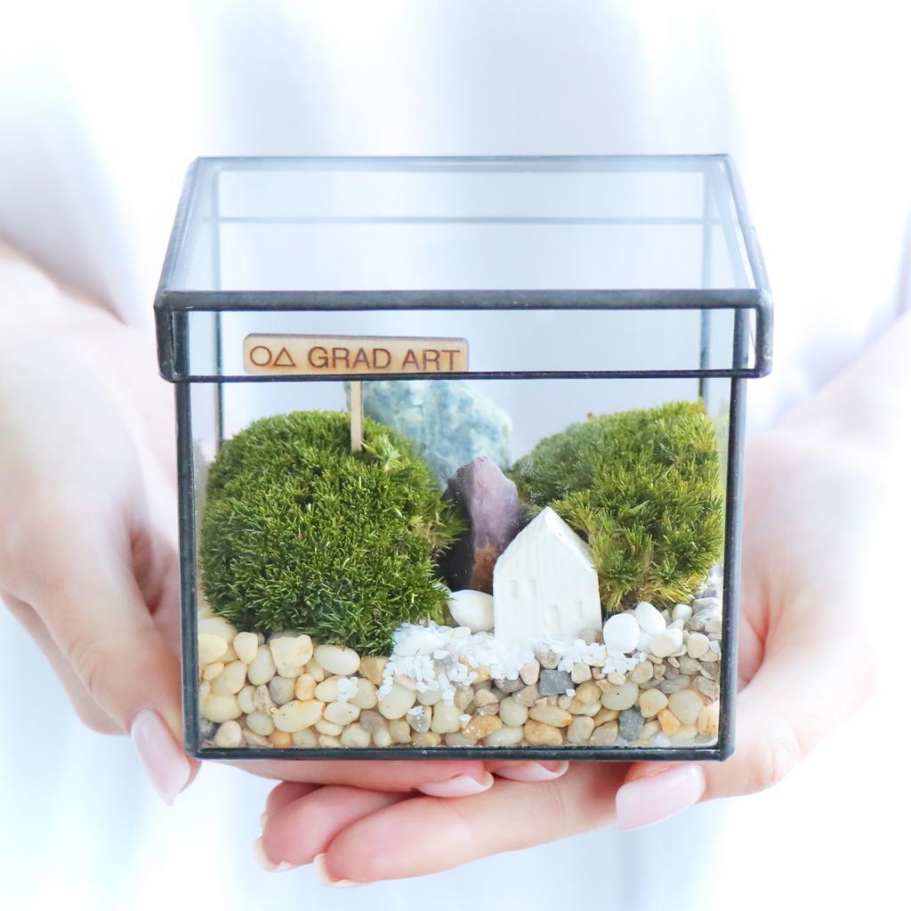 Мох Прямоугольник М (11х10см)