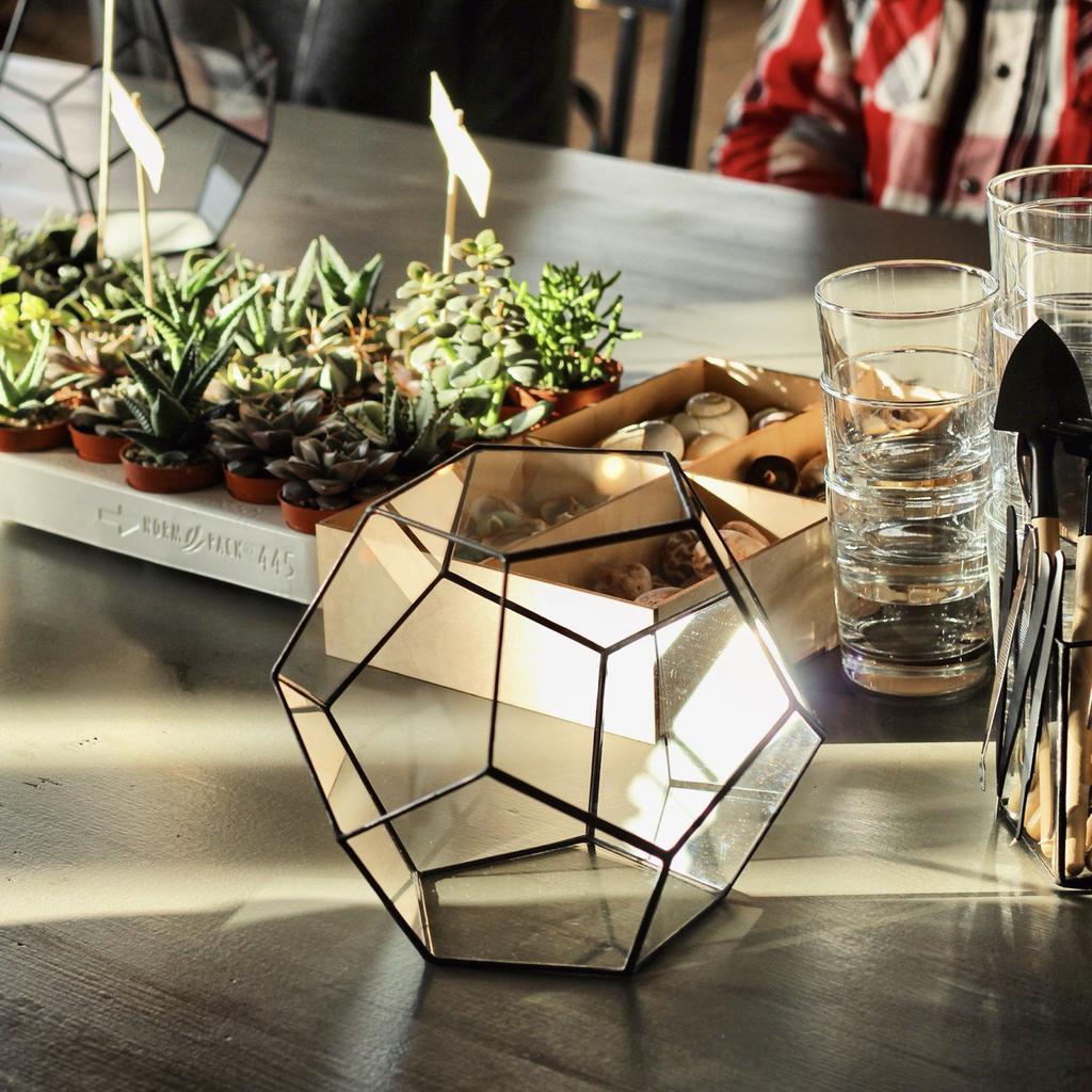 Мастер-класс по созданию флорариума (Форма XXL)