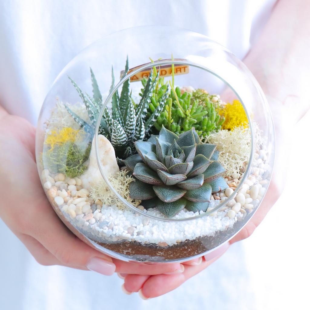 Сфера M (16х16см)