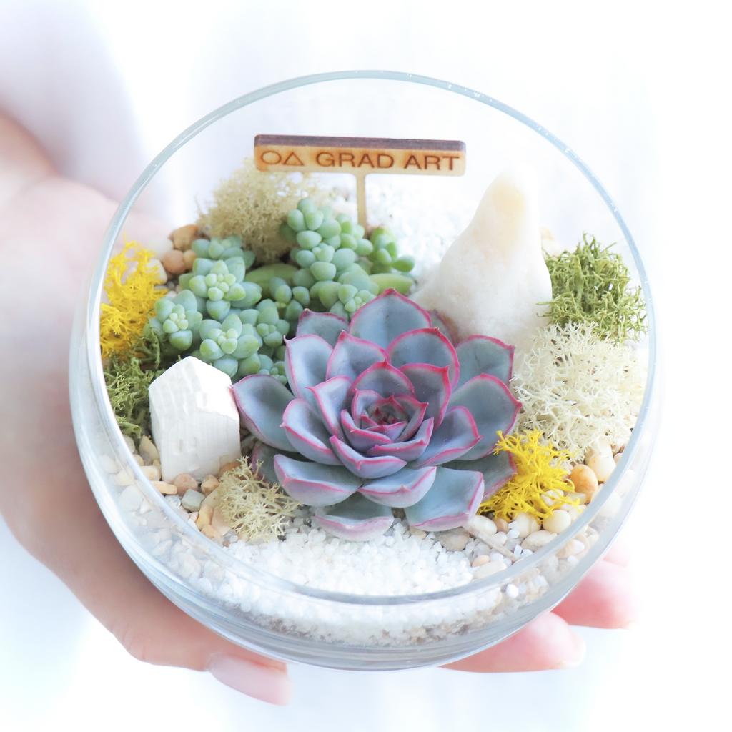 Полусфера S (12х10см)