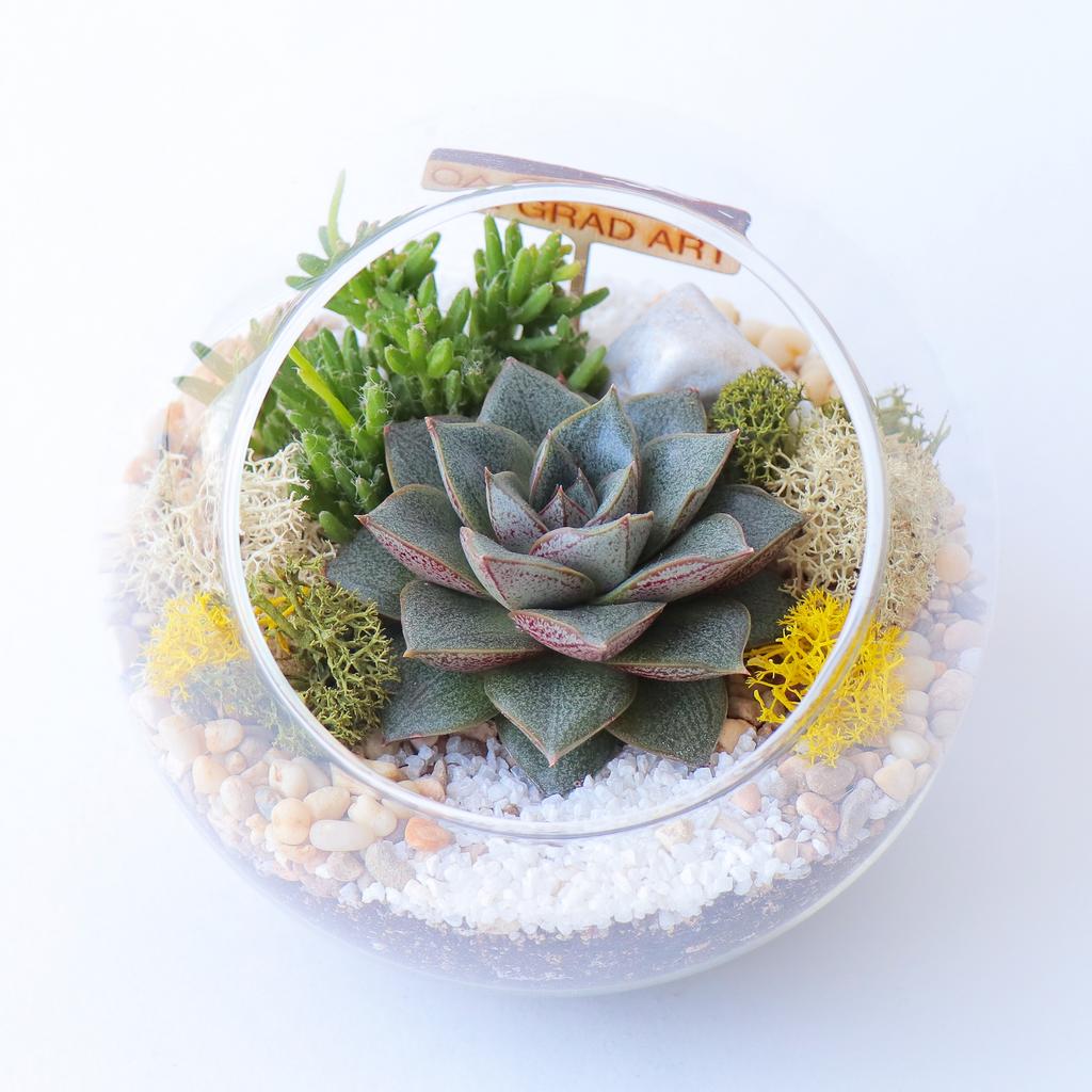 Сфера S (12х12см)