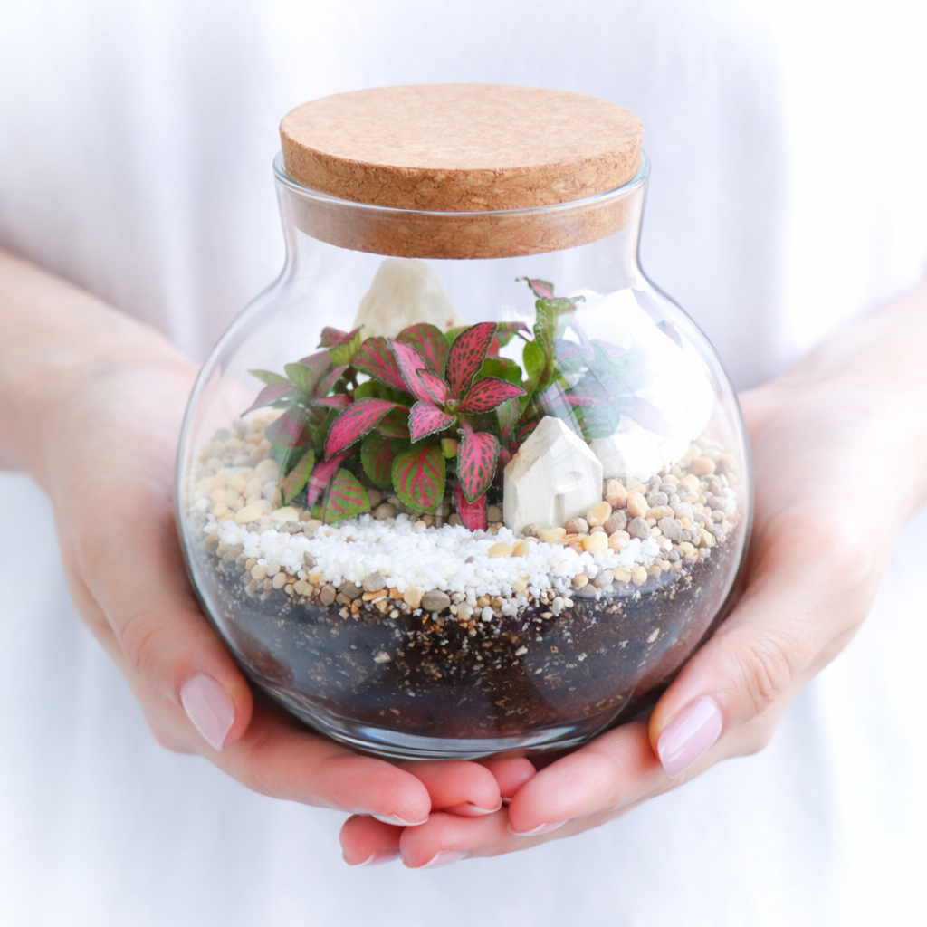 Шар S Фиттония (15х13см)