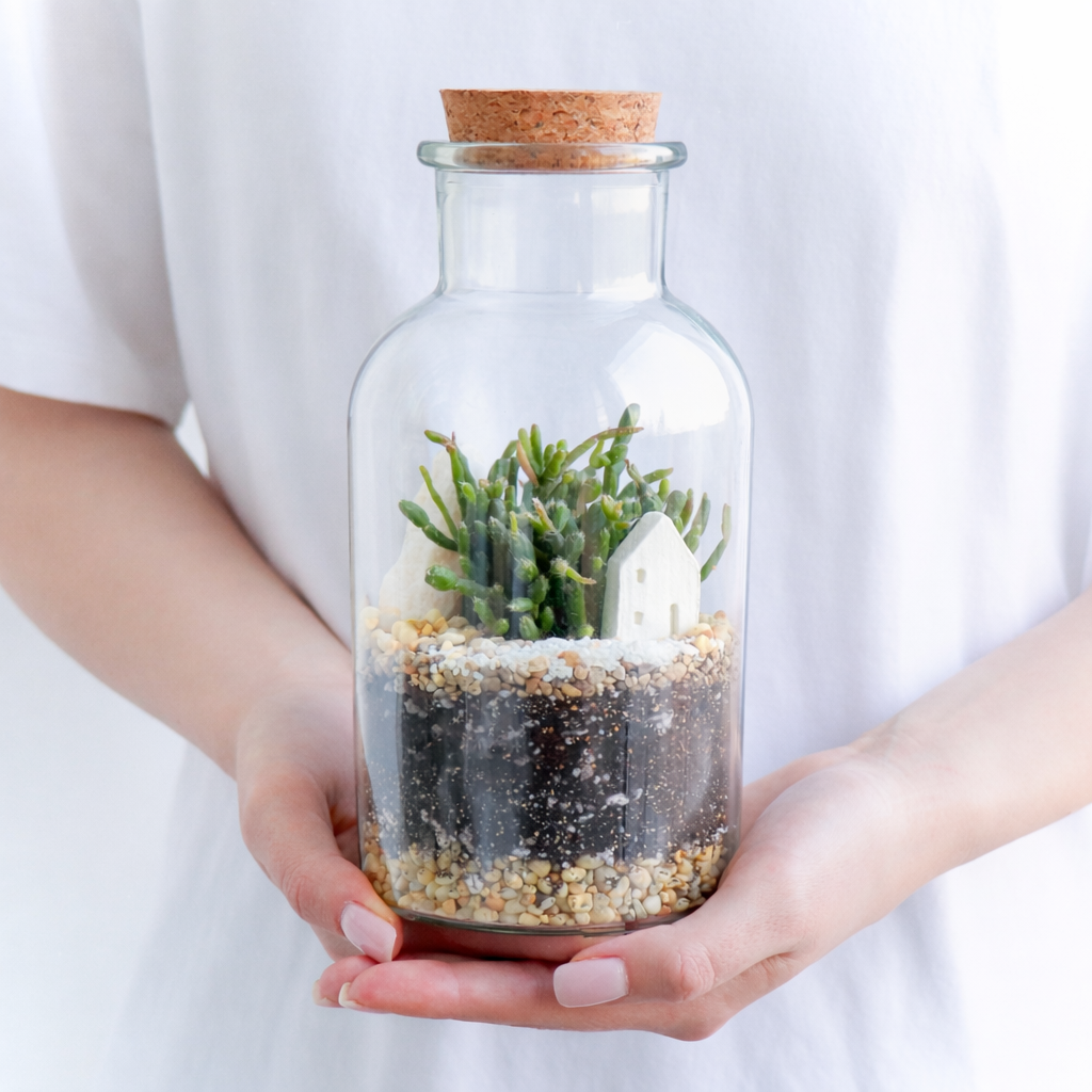 Колба М Рипсалис (21х10см)