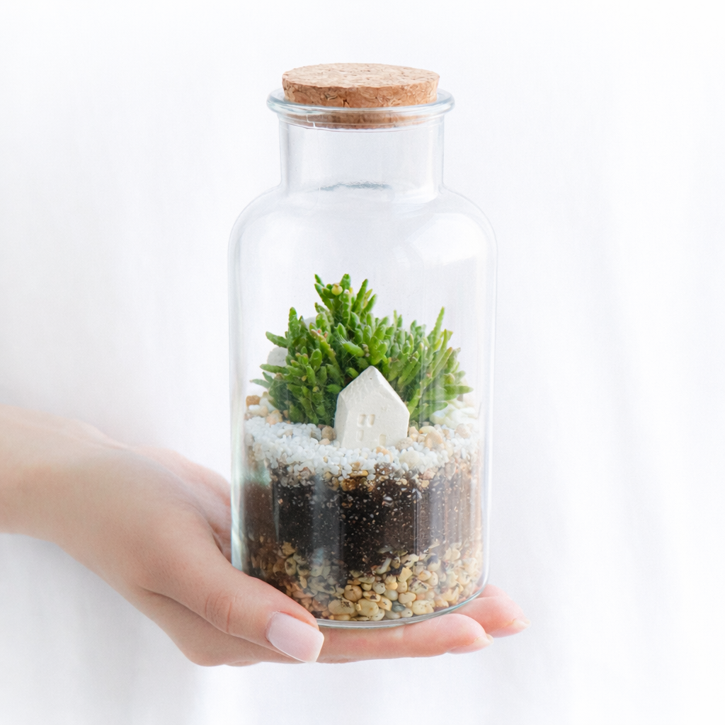 Колба S Рипсалис (17х7см)